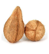 Coconut / தேங்காய் ( 1 pic )